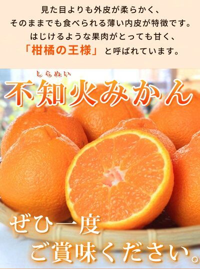 【2027年先行予約】紀州有田産 不知火 (しらぬい)【家庭用 訳あり】8.5kg_G7359