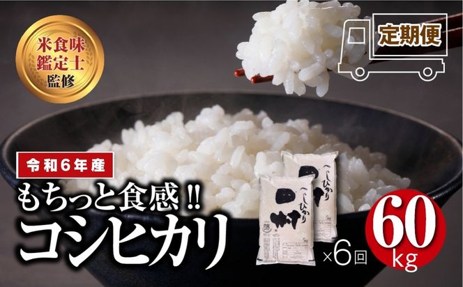 ＼ 年内発送 12/24(火)決済完了分まで！／ 【 令和6年産 】＼定期便6回／ 田村産 コシヒカリ 1俵 60kg 10kg ずつ 6回 配送 贅沢 のし対応 １週間以内発送 贈答 ギフト プレゼント 福島 ふくしま 田村 美味しい 米 kome コメ ご飯 ブランド米 精米したて お米マイスター 匠 食味鑑定士 安藤米穀店