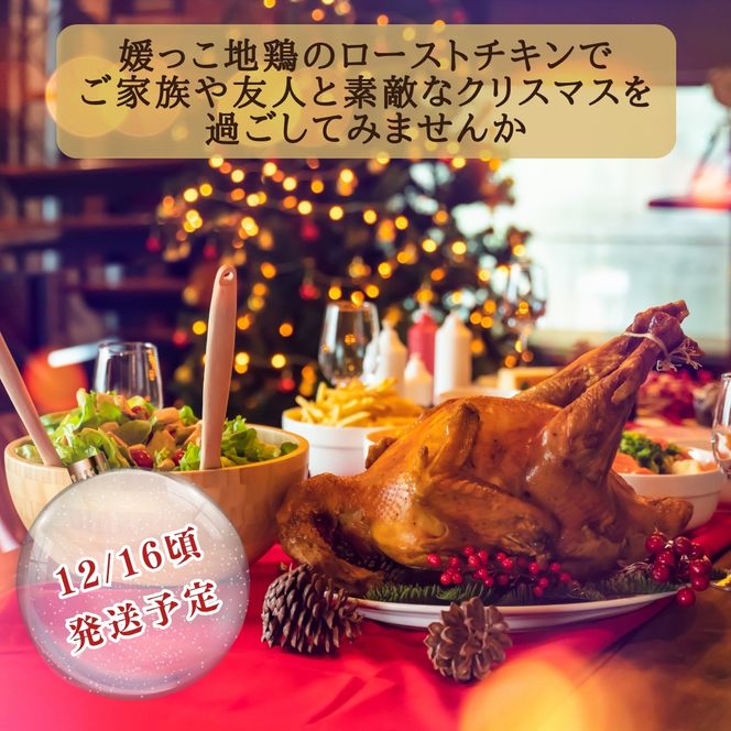 【 2026年 クリスマス 先行予約 】 媛っこ地鶏 丸鶏 約 1.8kg まるごと 地鶏 ブランド地鶏 鶏肉 鳥肉 肉 チキン むね肉 もも肉 クリスマス ローストチキン ごちそう スープ 出汁 焼肉 焼き鳥 BBQ パーティー ディナー メイン タンパク質 低脂肪 糖質 愛媛県 愛南町 ローカルスタンダード