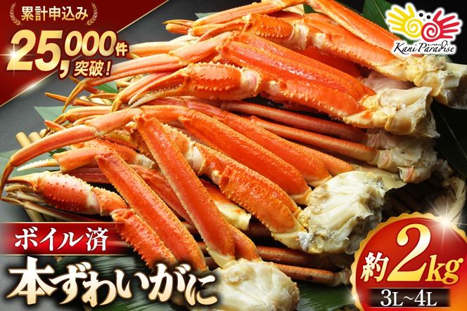 ボイル済み 本ずわいがに 脚 3L〜4L 総重量 2kg [カネダイ 宮城県 気仙沼市 20564764] カニ 蟹 ズワイガニ ずわい蟹 ズワイ蟹 ずわい ズワイ 海鮮 魚介類 カニ脚 蟹脚 足 ボイル ご褒美