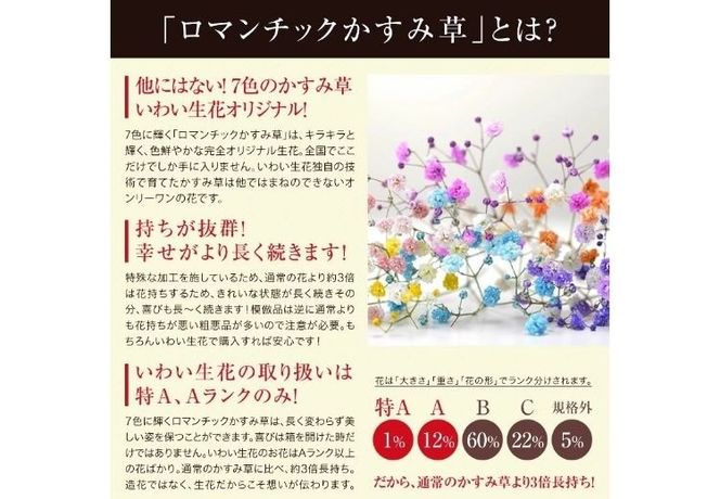 ミックススマイルバスケット ｜ フラワーアレンジメント 生花 花 ギフト ロマンチックかすみ草 七色 輝く カスミソウ カスミ草 かすみそう お祝い プレゼント アレンジ花 カラフル おしゃれ