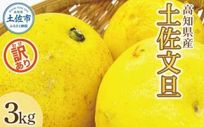 【訳あり】土佐文旦（ぶんたん）家庭用（M～5L）約3kg 