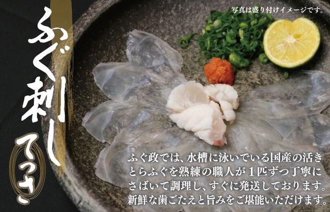 099H3375 国産活け とらふぐ ふぐ刺し 2人前【てっさ ふぐ フグ ぽん酢付 冷蔵 海鮮】