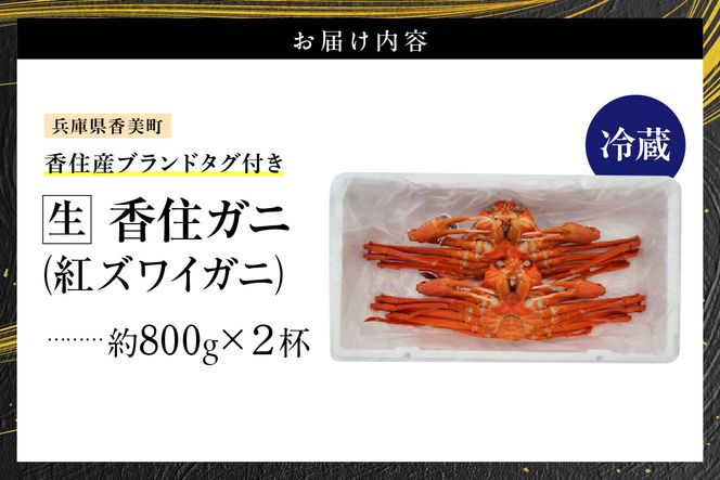 【香住ガニ（生）大 タグ付き 約800g×2枚 冷蔵】【令和8年11月以降発送予定】カニ 甘み 強い かに カニ 蟹 香住がに 紅ずわいがに ベニズワイガニ 脚 爪 身 ほぐし むき身 かにすき 鍋 大人気 ふるさと納税 おすすめ 兵庫 香美 香住 但馬漁業 遊魚館 03-07