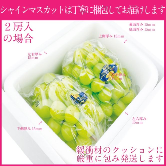 ぶどう 2026年度分 先行予約 【プレミアムシャインマスカット 晴王 2房 約1.3kg】船穂産　赤秀品以上  岡山県産 葡萄 ブドウ ギフト ハレノフルーツ 皮ごと食べる みずみずしい 