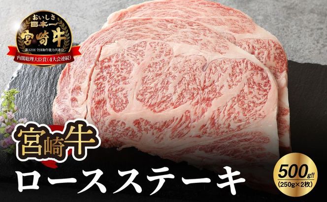 y{茧؏钬z{苍 [XXe[L500g   K18_0010_6