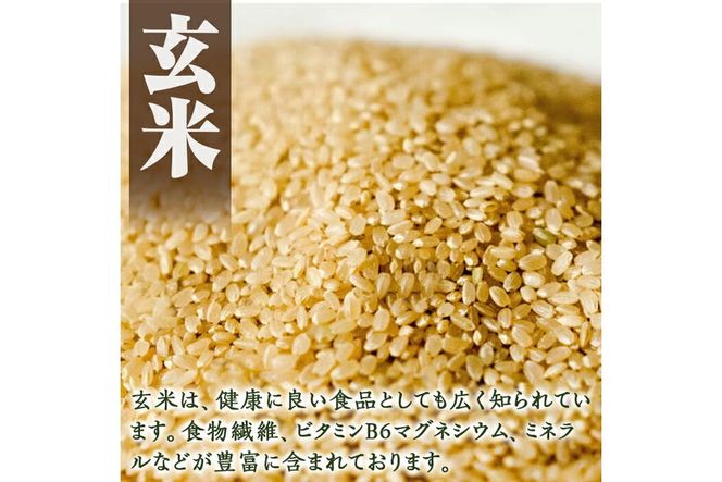 a902 選べる!竹ん粉米(白米4kg・玄米4kg・白米＆玄米4kg・白米2kg・玄米2kg)米 お米 白米 玄米 精米 選べるお米 セレクト 組み合わせ自由【夢竺山株式会社】