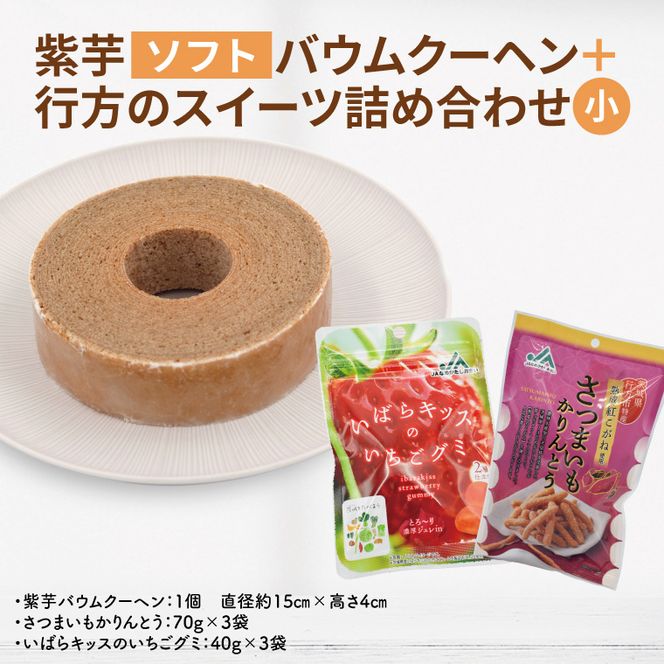 紫芋バウムクーヘン(ソフト)＋行方のスイーツ詰め合わせ(小)｜お菓子 スイーツ バウムクーヘン かりんとう グミ 詰め合わせ セット 茨城県 行方市(AE-103)
