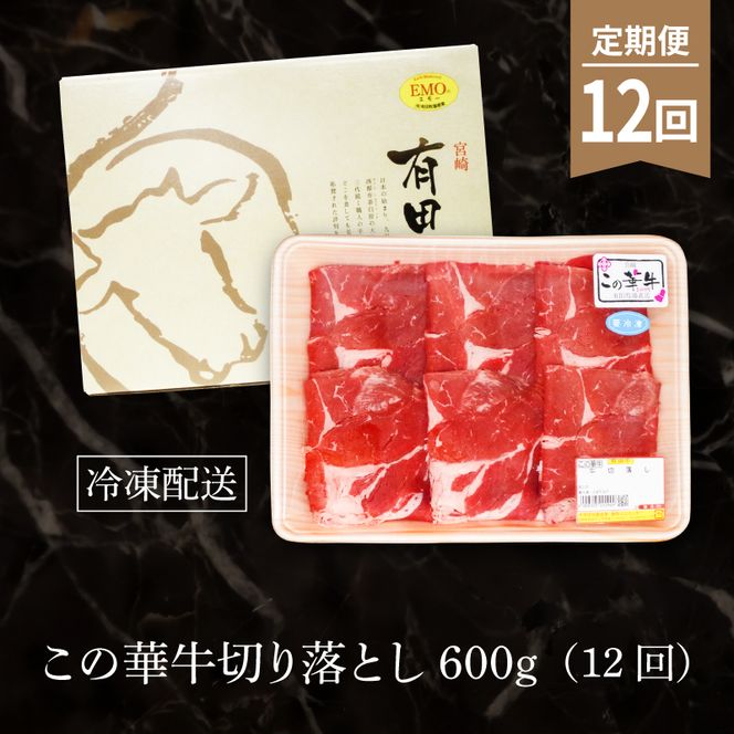 有田牧場直送 この華牛切り落とし600g 12ヶ月定期便_K20_T003_2