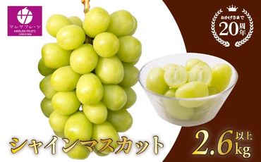 [25年発送先行予約]シャインマスカット2.6kg以上 山梨県 笛吹市 一宮産 朝採り 産地直送 088-026