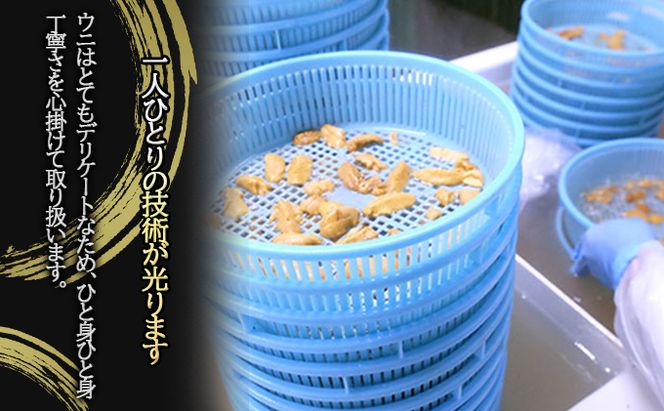 ミョウバン不使用 塩水 ウニ100g 1パック 7月下旬頃までお届け [水揚げ後 順次出荷] キタムラサキウニ うに ウニ 雲丹 ムラサキウニ 魚貝 魚介 海鮮 海産 小川商店 送料無料 北海道 洞爺湖