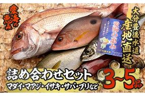 天然 鮮魚詰め合わせ (合計約2.8-3.2kg・3種以上) 直送 産直 漁師 魚 鮮魚 天然 マダイ 鯛 マアジ 鯵 イサキ サバ 鯖 ブリ 鰤 獲れたて 刺身 煮つけ 塩焼き 冷蔵 豊後水道 鮮魚【CS01】【 (有)丸昌水産】