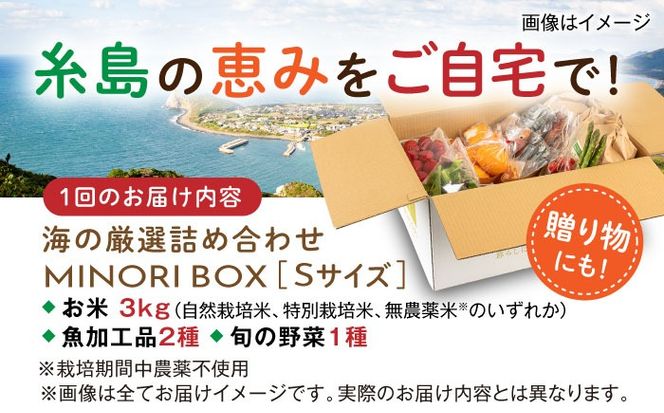 【全4回定期便 令和7年産新米】糸島産 魚 米 野菜 果物 厳選詰め合わせ MINORI BOX Sサイズ【季節ごとに年4回お届け】　糸島市 / emma.Inc / 米 魚 野菜 詰め合わせ[AOP004] 米 こめ 魚 さかな 野菜 やさい 糸島 詰め合わせ MINORI 定期便