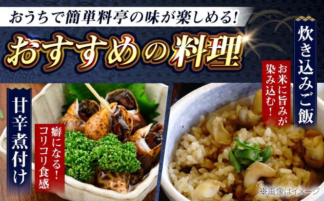 豊前海産 バイ貝 2kg (40〜66個前後) 《築上町》【明青丸】 バイガイ 貝 カイ[ABCB014]