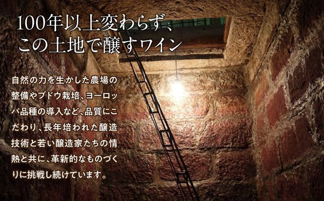 シャトールミエール　赤　063-002