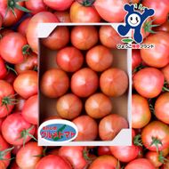 三谷さんの淡路島グルメトマト1kg