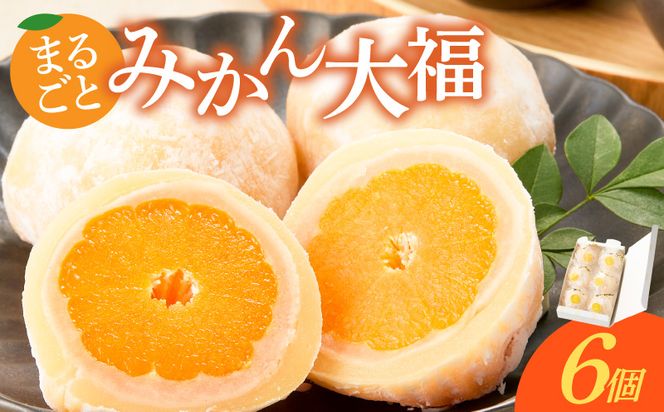 みかん大福　6個入り【贈答・熨斗対応】6個 職人仕立て 和菓子 フルーツ大福 白餡 お餅 冷凍 フルーツ デザート みかん 餡子 手作り おやつ スイーツ 冷蔵解凍 お取り寄せ グルメ 愛知県 小牧市 送料無料 ［009B15］ 