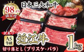 【訳あり】近江牛 A5 切り落とし スライス 食べ比べ ブリスケ＆バラ 1kg【FO01W】（国産牛　和牛　ブランド牛　ブランド和牛　黒毛和牛　牛肉　肉　高級　人気　おすすめ　神戸牛　松阪牛 に並ぶ 日本三大和牛 近江牛）