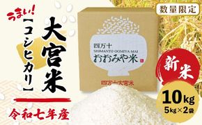 【令和7年産 新米 早期受付 数量限定】 四万十 の 米どころ 山間地域で育てた 大宮米 コシヒカリ 10kg 高知県 高知 しまんと 国産 お米 米 白米 精米 こしひかり 低農薬栽培 ご飯 産地直送 【2025年9月中旬より順次配送】25-305