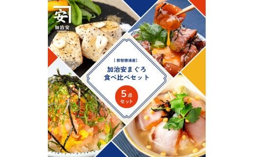 ya̎RÍ쒬zIY 5_Zbg/܂ }O  Yykys005z