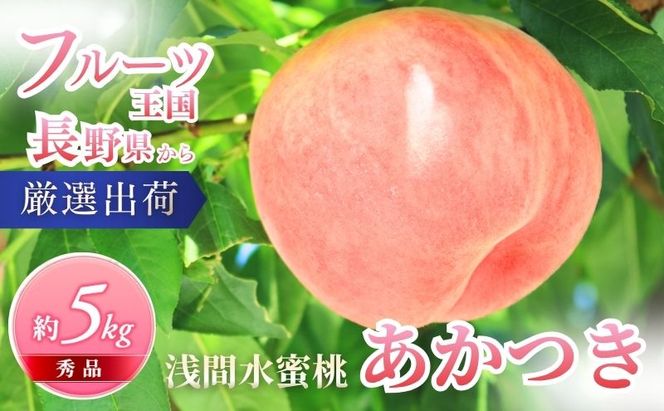 桃 先行予約 浅間水蜜桃 あかつき 約5kg 秀品 13～22玉 フルーツ 果物 白桃 白鳳 甘い 冷蔵