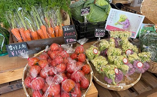 【旬のお野菜8品目】ウカマルシェ　セレクト野菜BOX　※離島への配送不可