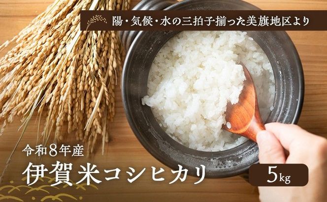 陽・気候・水の三拍子揃った美旗地区より みはたM'sファーム 令和8年産 伊賀米コシヒカリ 5kg 3年連続 特A 米 こしひかり ご飯 ごはん 白米 精米 三重県 名張市