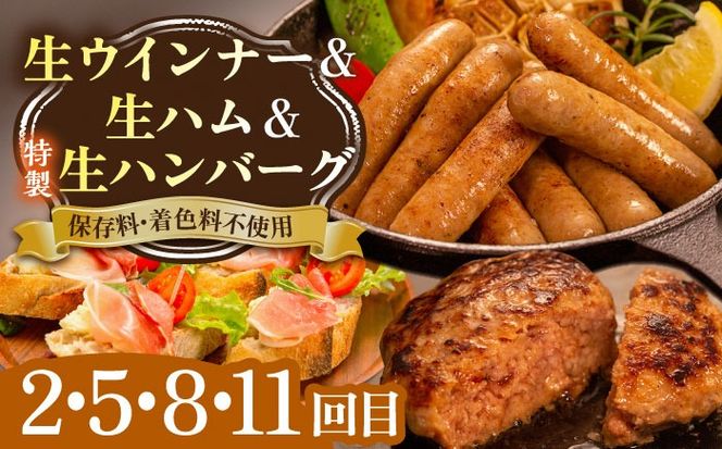 【全12回定期便】 ウインナー / ハンバーグ / ハム 月替り セット 糸島市 / 志摩スモークハウス 生ハム ベーコン [AOA040] 定期便 生 ウインナー ソーセージ ハンバーグ お肉