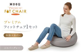 プレミアムフィットチェア シルバーグレー 312011_EM004VC05