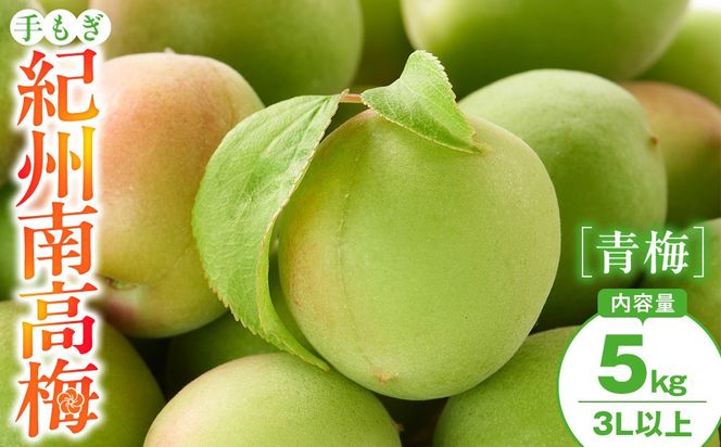 手もぎ 青梅 南高梅 5kg 大粒 3Lサイズ 以上 谷本農園 CX071