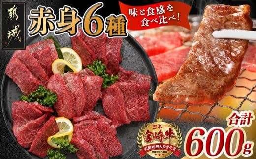 宮崎牛赤身6種 合計約600g_16-2601_(都城市) 牛肉 赤身 希少部位 食べ比べ 焼き肉 焼肉 BBQ ウデミスジ ウデ三角 ウデクリ とうがらし ウデ赤身 ウデカルビ 約100g 計600g 6種類セット