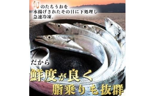 岬だよりの＜6袋大満足セット＞鮮度良し!脂ノリ良し!天然たちうお開き(骨無し)