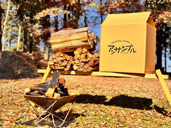 信州伊那谷産 松の薪 （ 焚き付け用 ）1箱 4束入り 25kg 相当｜薪 25kg 松の薪 長野県 伊那市 キャンプ BBQ アウトドア【008-17】