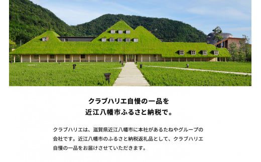 【クラブハリエ】バームクーヘンｍｉｎｉ６個入 シェアボックス 個包装【FC01W】（滋賀県　近江八幡市）