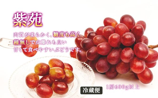 フルーツ 定期便 2026年 先行予約 フルーツ王国 岡山を堪能 6回コース 夏・秋・冬物語 桃 もも 葡萄 ぶどう 梨 なし岡山県産 国産 果物 セット ギフト 柔らかい マスカット 甘い 酸味 香り 風味 