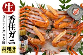 《12/21まで年内発送》【調理済み 生 香住ガニ 2Lサイズ 5肩セット 冷凍】日本海 本場 鮮度 抜群 カネニ基準 厳選 殻むき不要 簡単 お手軽 足 爪 身 脚 ボイル 鍋 蒸し 焼き 蟹 かに ベニズワイガニ 紅 ズワイガニ べに ずわいがに ふるさと納税 人気 おすすめ 返礼品 兵庫県 香美町 香住 カネニ 06-14