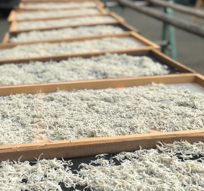 159-2049-04　湘南大磯しらす網元 松道丸・釜揚げしらす 3パック 600g （200g×3）【 しらす 魚介類 海鮮 惣菜 おかず ギフト 簡単調理 冷凍配送 送料無料 神奈川県 大磯町】