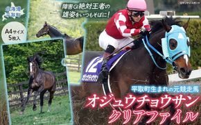 【オジュウチョウサン】クリアファイル（写真）5枚入り BRTV019