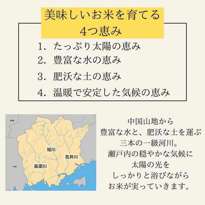 令和7年産 お米 3kg×1袋 きぬむすめ 特A 精米 白米 ライス 単一原料米 検査米 岡山県 ご飯 主食