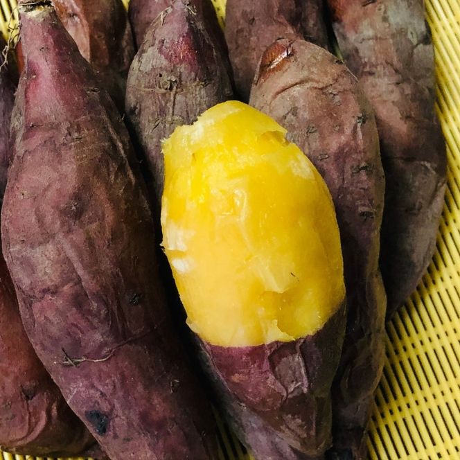 紅はるか 昔ながらの天日干し芋 300g(100g 3袋セット)　さつまいも 干しいも 芋 お菓子 京都府 南丹市