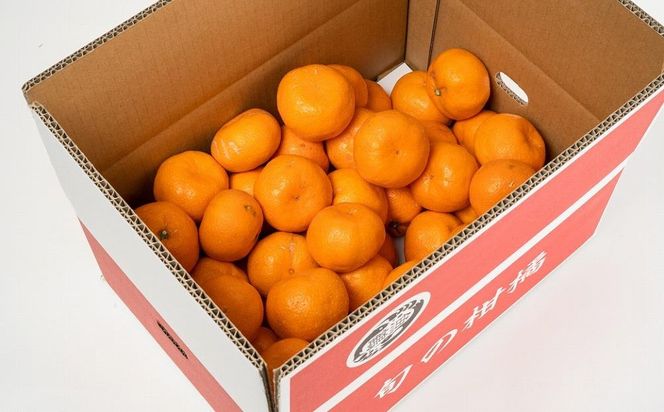 ［ご家庭用訳あり］紀州有田産濃厚完熟温州みかん 約2kg［2026年11月下旬以降発送］［先行予約］ 	AN054