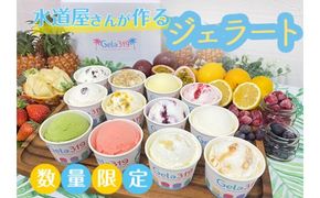 【食べ比べセット】【数量限定】水道屋さんが作るジェラート12個セット◆ | アイス 手作り スイーツ フルーツ※離島への配送不可