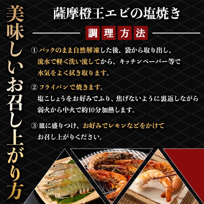 薩摩橙王エビ(4尾入×2パック) 国産 鹿児島県産 阿久根市産 えび 海老 魚貝類 魚介類 海産物 養殖 冷凍 期間限定 数量限定 焼き海老 焼きエビ バナメイエビ シロアシエビ 生食可 【リージョナルフィッシュ株式会社】akn105-01