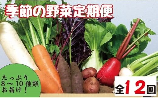 [野菜の定期便]こばやし季節の野菜詰め合わせセット 全12回