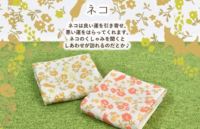 G3849 【スピード発送】しあわせを運ぶガーゼハンドタオル（個包装）8枚　ネコ/イエロー【タオル 泉州タオル 吸水 速乾 普段使い 無地 シンプル 日用品 家族 たおる】