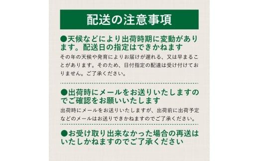FF009 【2026年 先行予約】山梨県都留市産 朝採れ シャインマスカット ２~3房（約1.0kg以上）