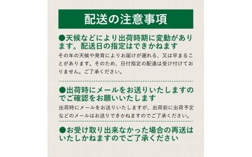 FF009 【2025年 先行予約】山梨県都留市産 朝採れ シャインマスカット ２~3房（約1.0kg以上）