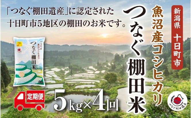 【定期便／全4回】精米5kg　令和7年産新潟県十日町市魚沼産コシヒカリ「つなぐ棚田米」 米 こしひかり 精米 定期 十日町市