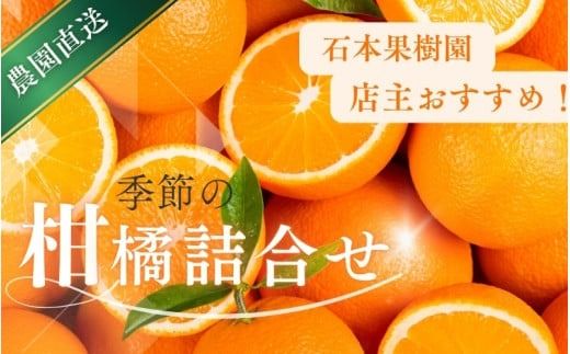 みかん 先行予約 旬の柑橘 詰め合わせ セット 石本果樹園 店主おすすめの柑橘セットをお届け [2025年1月〜5月中に順次発送予定] / フルーツ 果物 くだもの 柑橘 フルーツセット くだものセット みかん ミカン 温州みかん 不知火 せとか セミノール ポンカン カラマンダリン 甘夏 清見 オレンジ 産地直送 旬 人気 おすすめ [min011]
