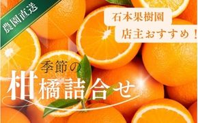 みかん 先行予約 旬の柑橘 詰め合わせ セット 石本果樹園 店主おすすめの柑橘セットをお届け 【2025年1月～5月中に順次発送予定】 / フルーツ 果物 くだもの 柑橘 フルーツセット くだものセット みかん ミカン 温州みかん 不知火 せとか セミノール ポンカン カラマンダリン 甘夏 清見 オレンジ 産地直送 旬 人気 おすすめ 【min011】